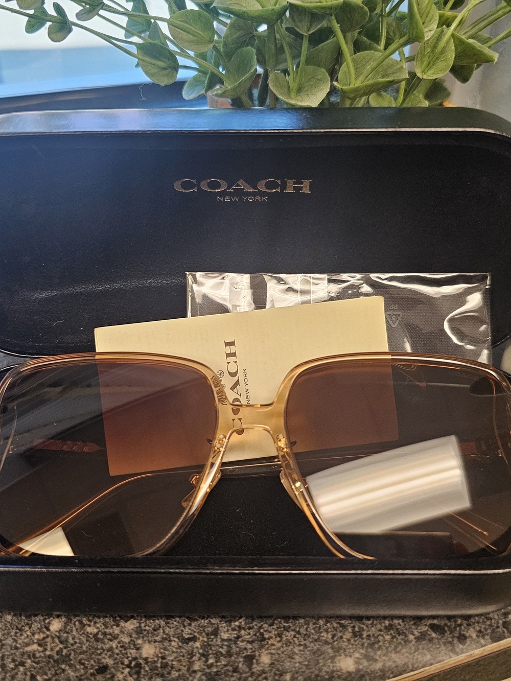 Coach Women's Brown Gradient Square Sunglasses HC 8368D